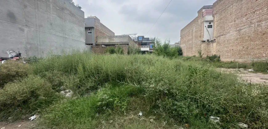 5 Marla Plot for Sale – Plot No 569, Sector C1, Zone 3, Regi Model Town