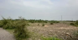 1 Kanal Plot for Sale – Plot No 44, Sector D1, Zone 1, Regi Model Town