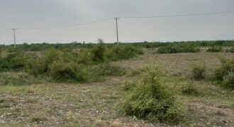 10 Marla East Facing Plot 283 for Sale in Regi Model Town Sector D2 Zone 1