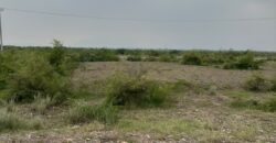 10 Marla East Facing Plot 283 for Sale in Regi Model Town Sector D2 Zone 1
