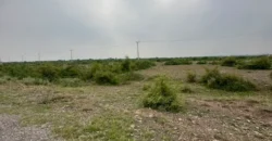 10 Marla East Facing Plot 283 for Sale in Regi Model Town Sector D2 Zone 1