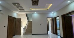 8 Marla Luxury House for Sale in Professor Model Town House 222