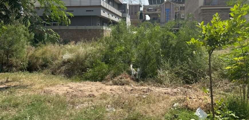 10 Marla Plot for Sale in Regi Model Town Zone 3 Sector A2 Plot 419