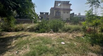 10 Marla Plot for Sale in Regi Model Town Zone 3 Sector A2 Plot 419